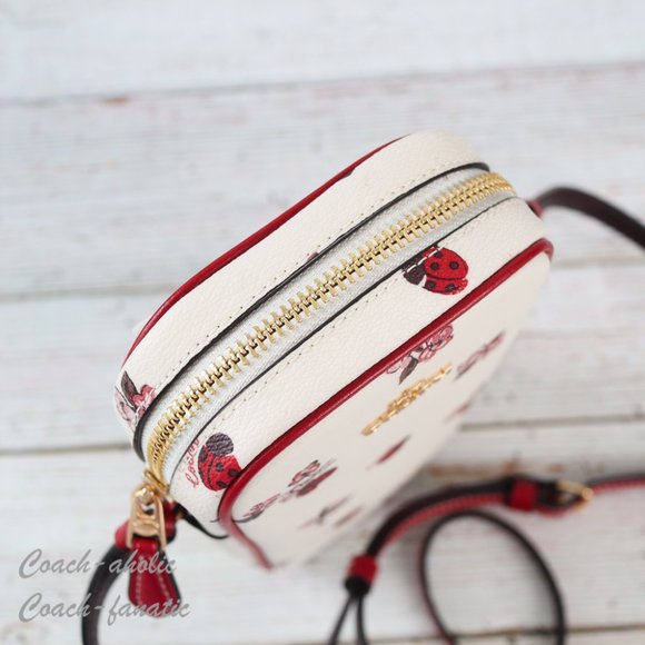 NWT Coach North South Zip Phone Crossbody With Ladybug Floral Print - Picture 9 of 12